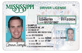 A person's driver license

Description automatically generated